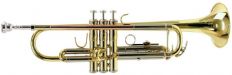 Труба Bb Prelude by Bach TR-710