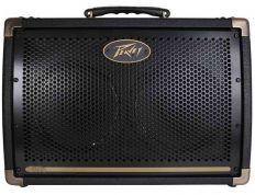 Комбоусилитель для акустической гитары Peavey Ecoustic E208